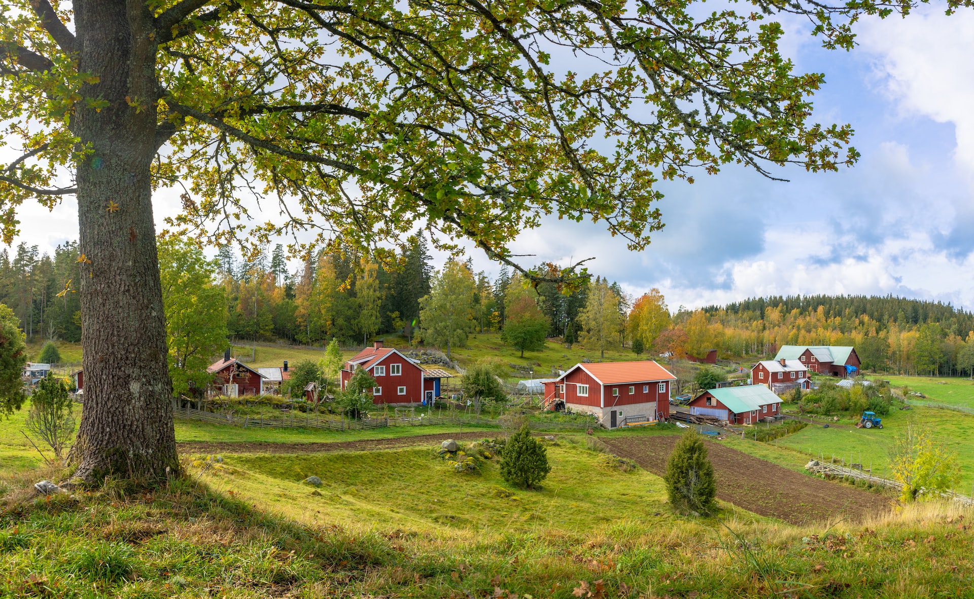 Var man mindre oroad för Corona på landsbygden?