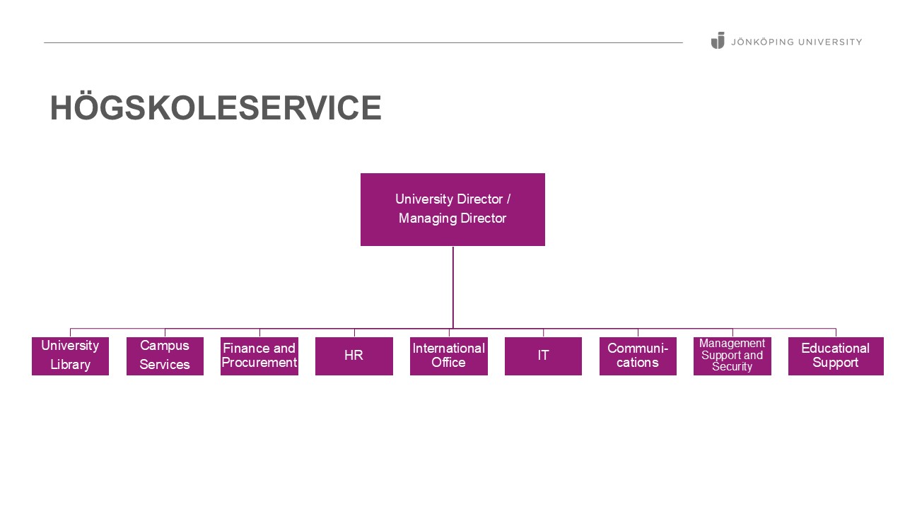 Organisational sketch for university services