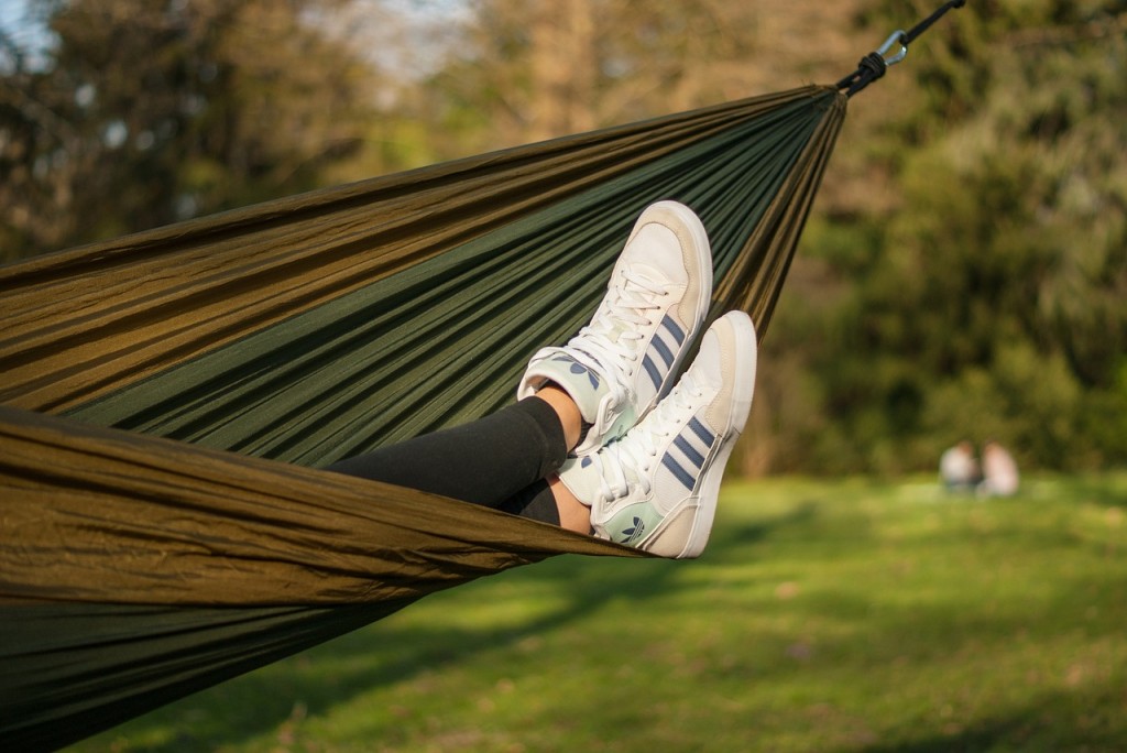 Lite bloggläsning från hammocken?