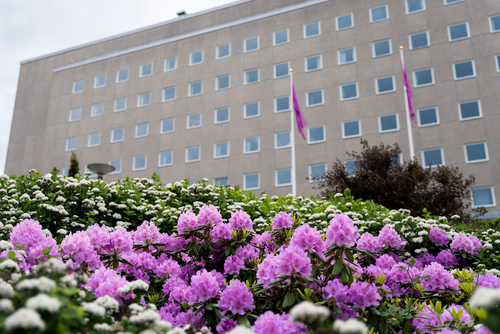 Flowers on campus outside school of health and welfare