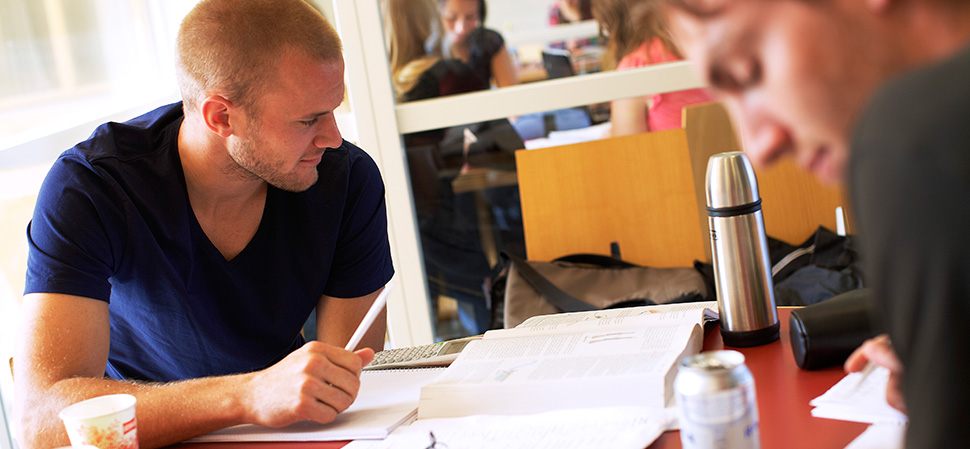 Students studying 