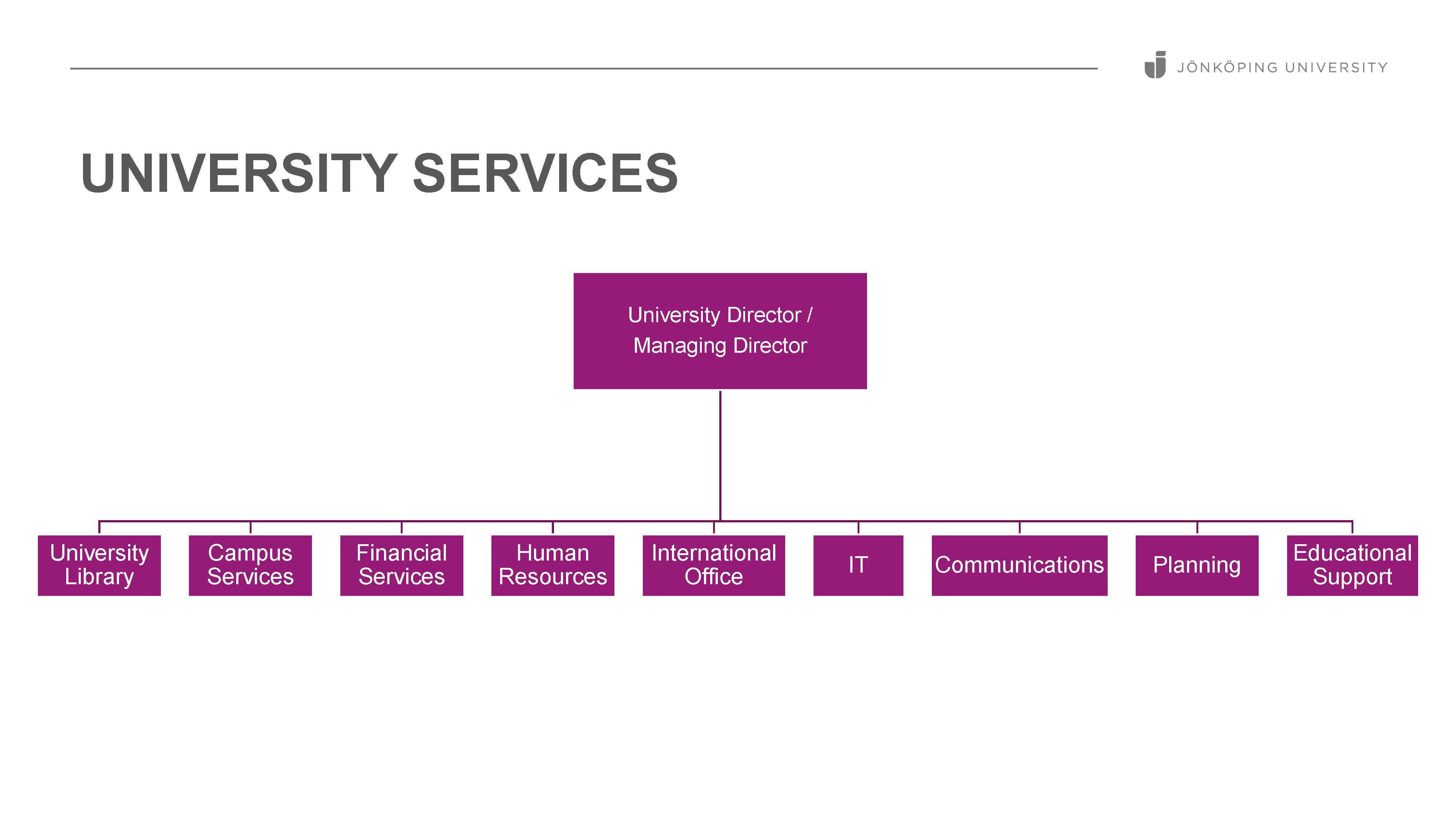 Organisational sketch for university services