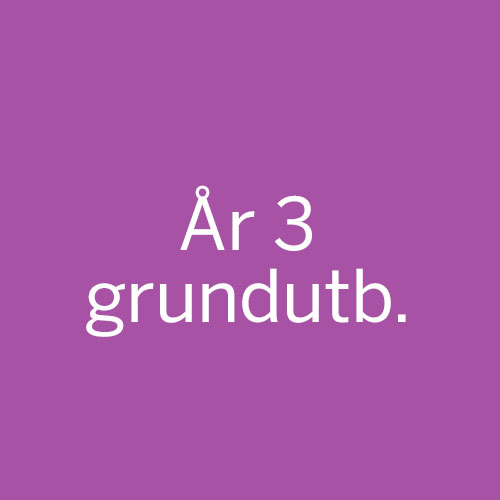 År 3