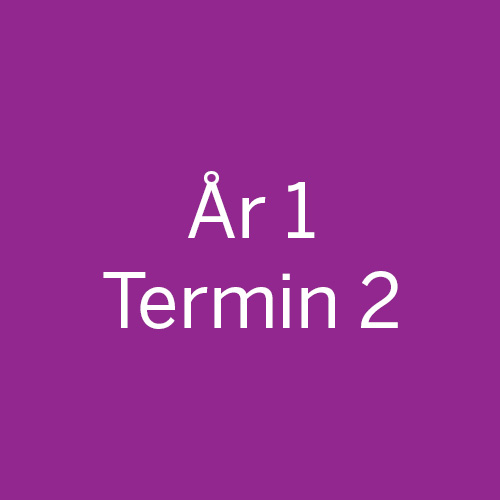 År1-Termin2