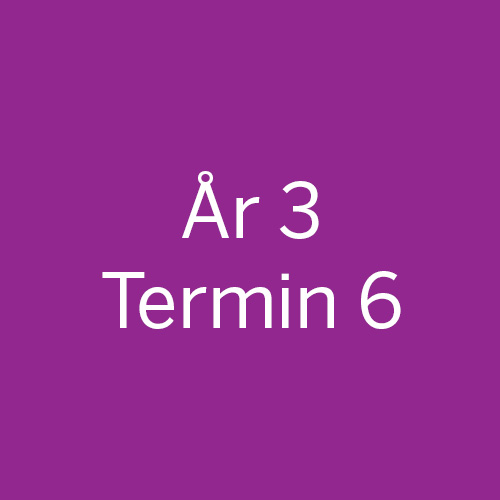 År3-Termin6