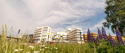 Blommor i förgrunden och sommarkänsla på campus