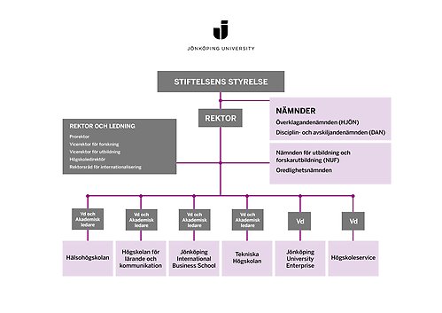 Organisationsskiss